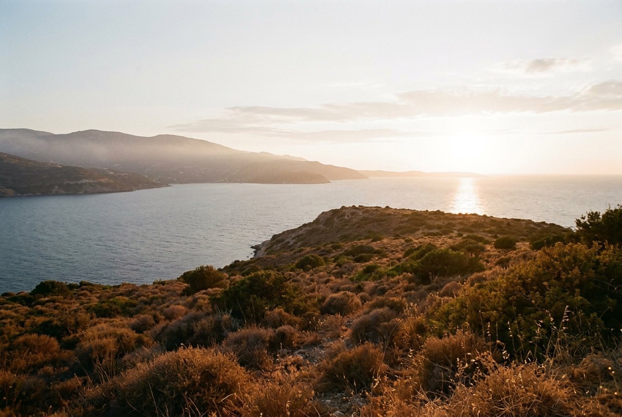 Six in the evening: a headland of dry scrub above a foreign bay with the sun low over the water and the far shore in haze