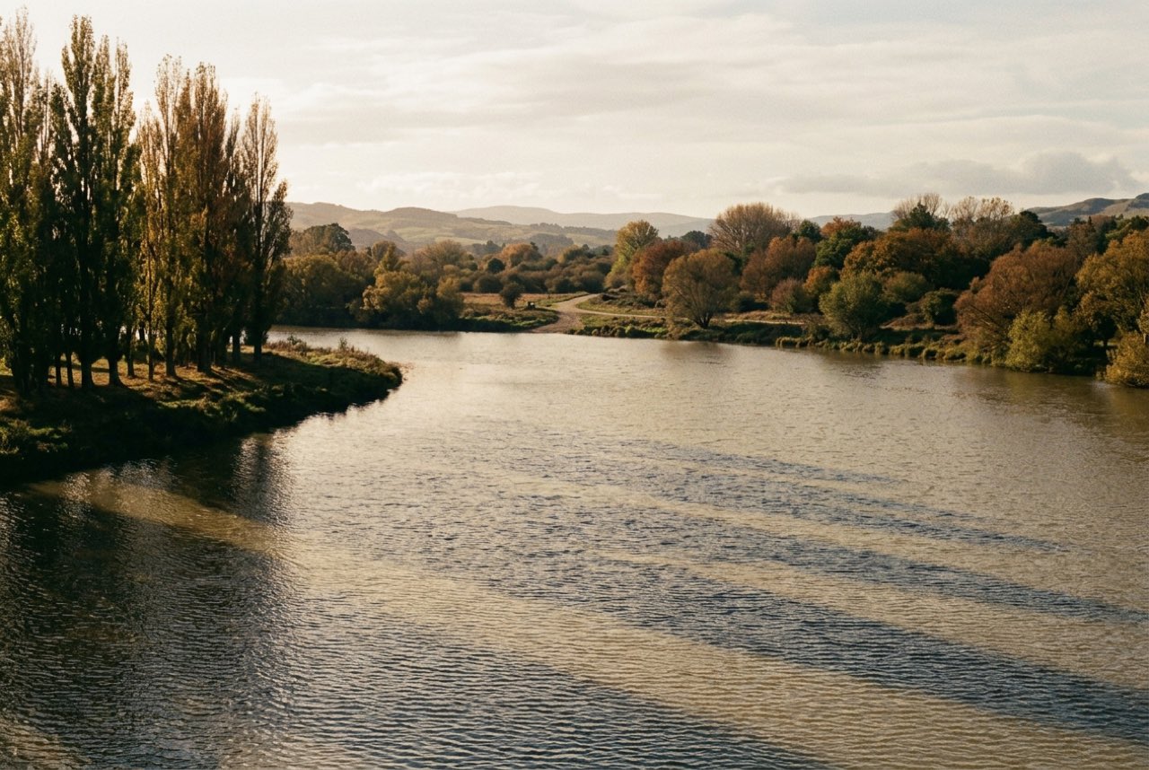 Five in the afternoon: a wide river bend under low autumn sun, poplars throwing long shadows across the water
