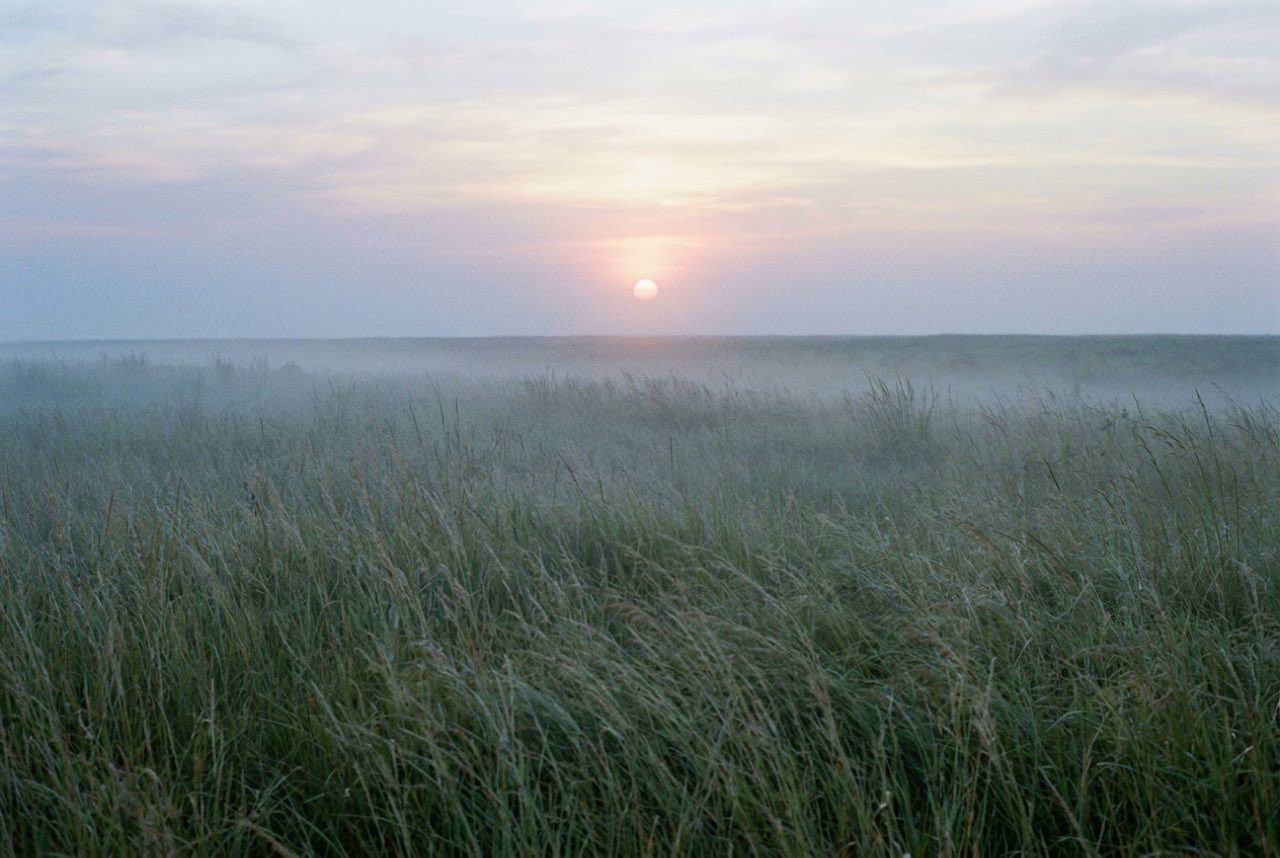 Half past five in the morning: a wide grassland of tall elephant grass under river mist with the sun a pale disc just clearing the horizon